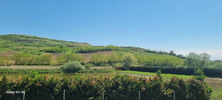 Dealurile din jurul Cătinei, văzute din curtea pensiunii